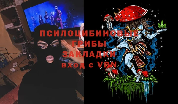 спайс Бородино