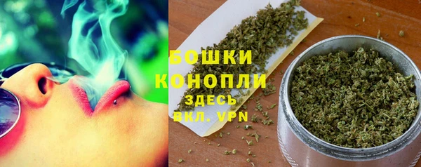 спайс Бородино