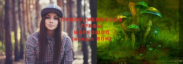 спайс Бородино